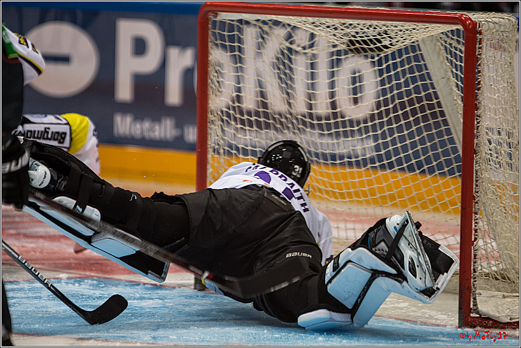Koelner Haie - Krefeld Pinguine , 23.09.16(KW38)